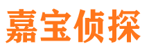 桂阳市调查公司